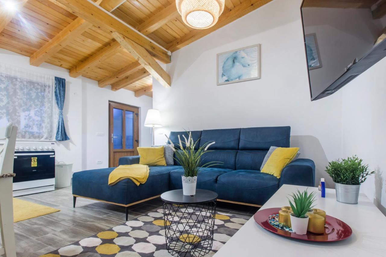 Luxury House Ivan With 4 Bedrooms Divojevici Extérieur photo