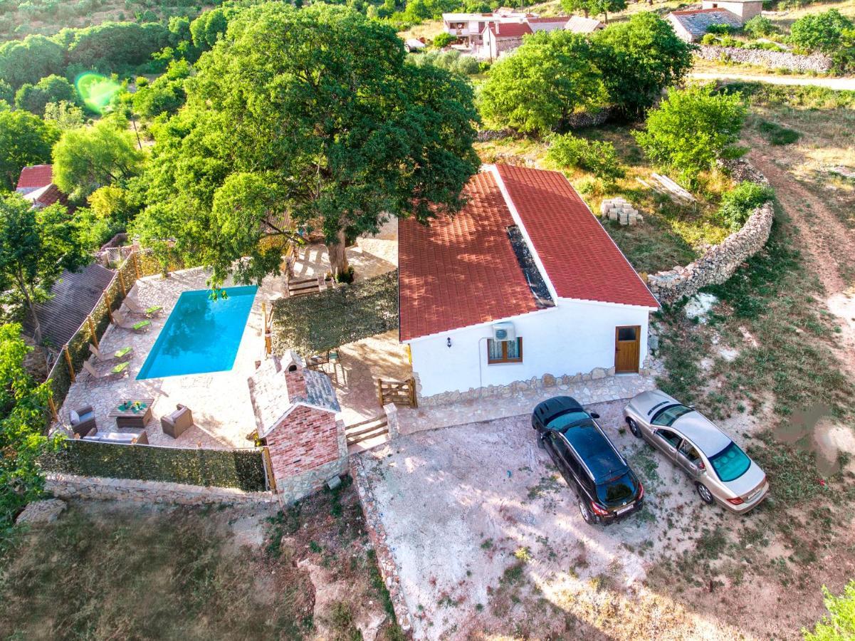 Luxury House Ivan With 4 Bedrooms Divojevici Extérieur photo