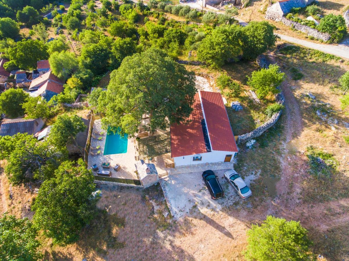 Luxury House Ivan With 4 Bedrooms Divojevici Extérieur photo