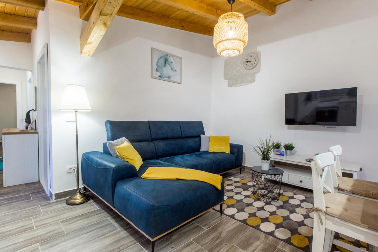 Luxury House Ivan With 4 Bedrooms Divojevici Extérieur photo